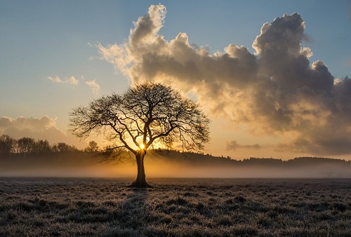 www.dementia-devotion.com Dementia Patient Alone Yet Still Beautiful